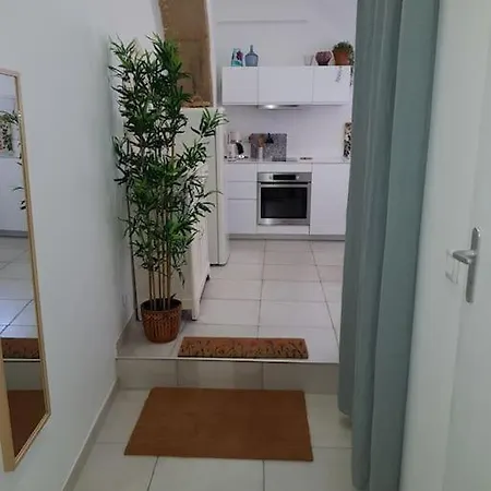 Appartement T2 Avec Jardin Privatif 3 Etoiles Meze Exterior photo
