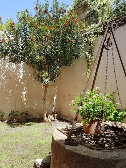 T2 Avec Jardin Privatif 3 Etoiles Apartment Meze